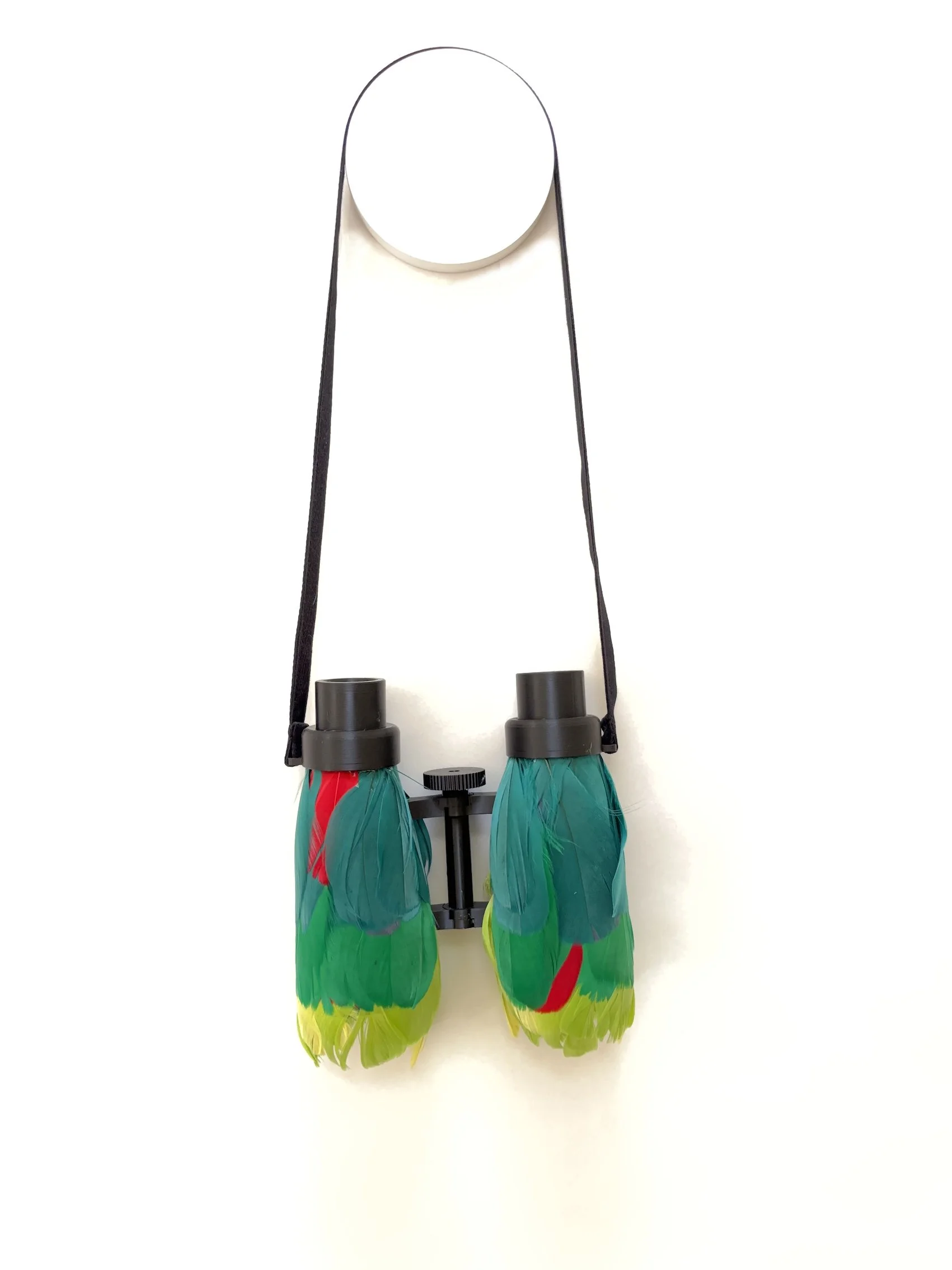 Sharon Peoples Swift Parrot binoculars.jpg