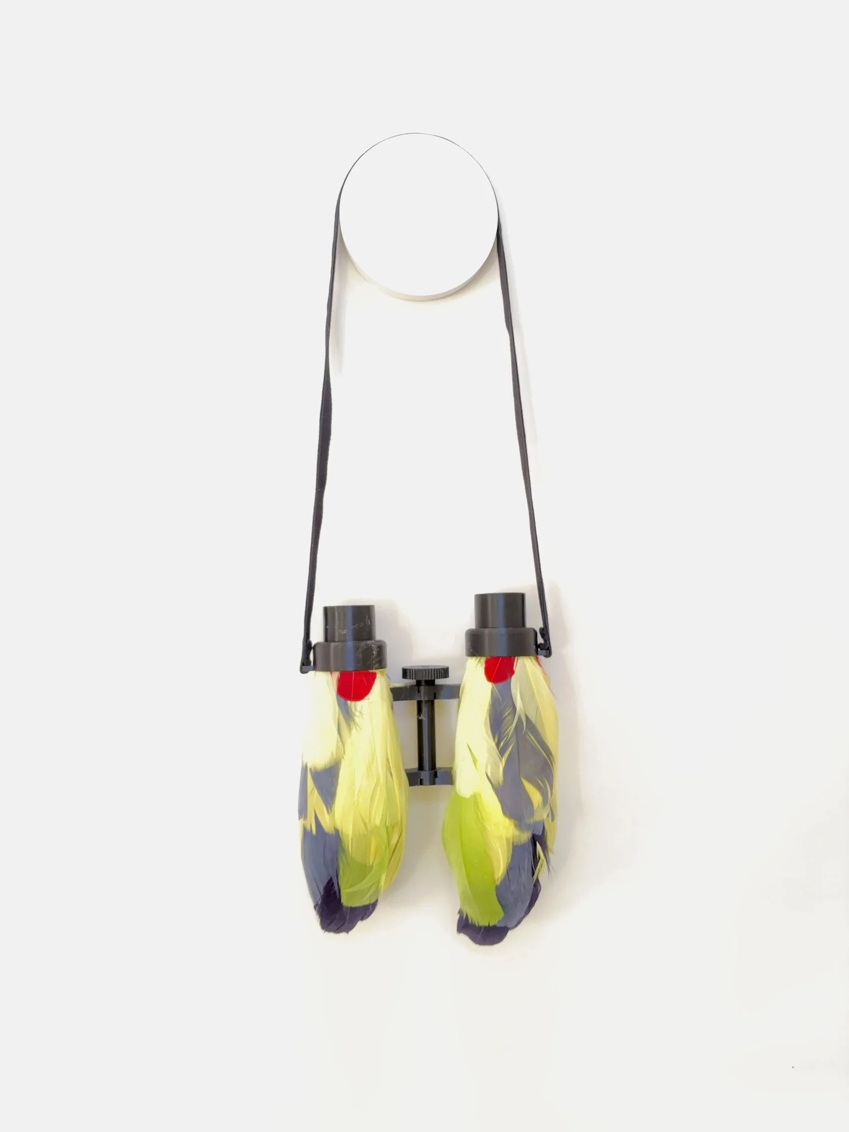 Sharon Peoples Tasmanian yellow parrot2.jpg