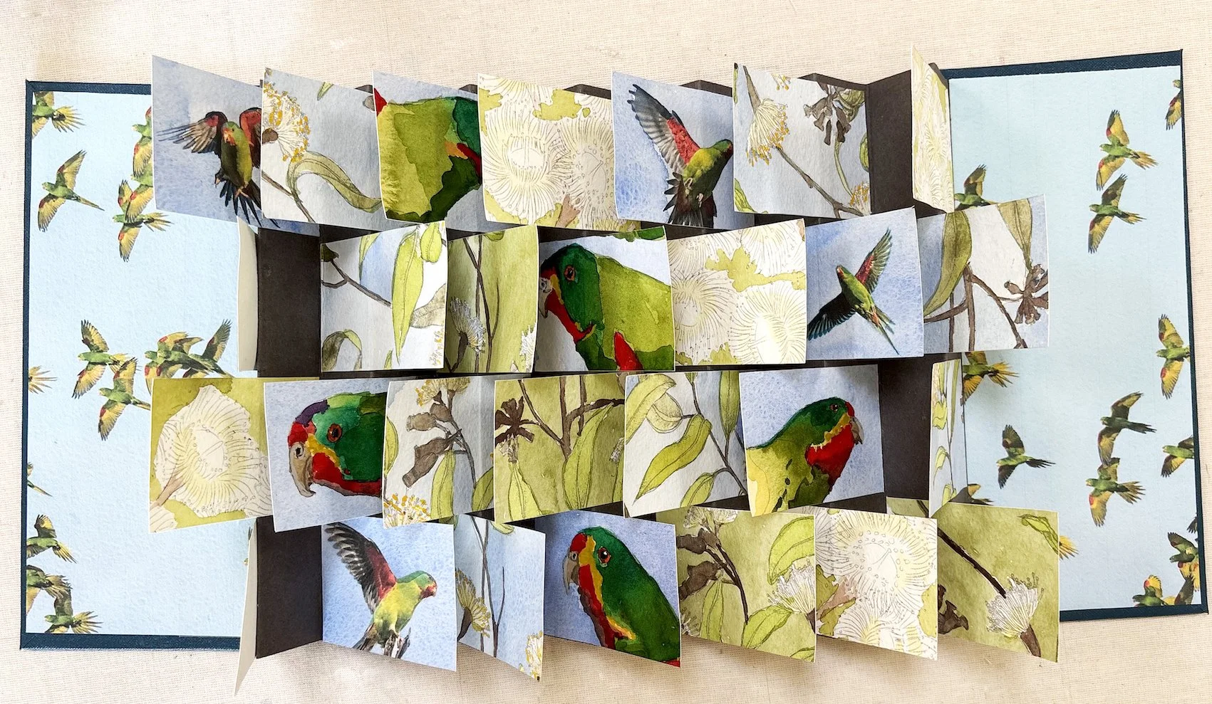 swift parrot flag book.jpg