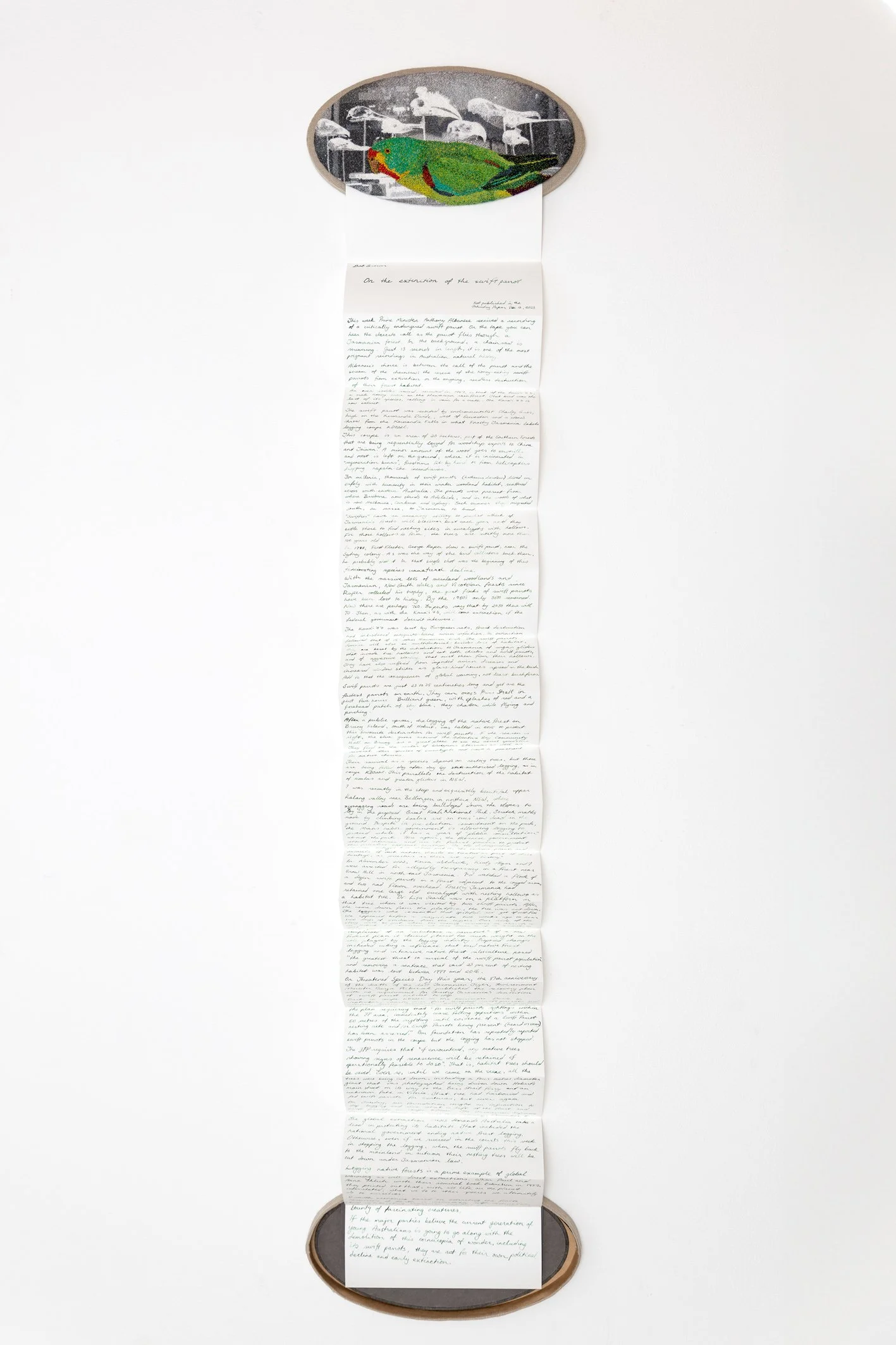 Swift_Parrot_At_The British_Museum_2024.jpg