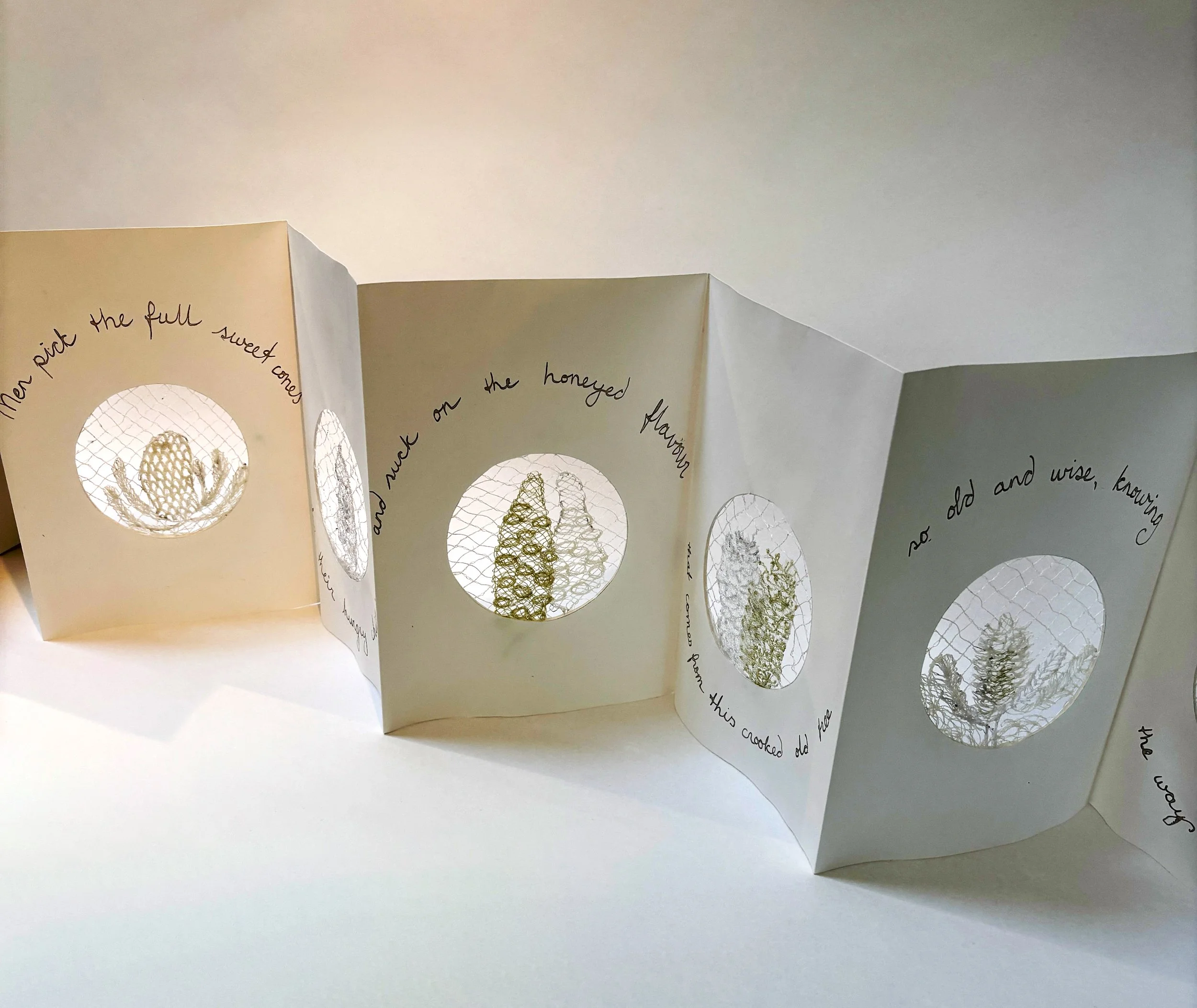 White Banksia Book2.jpg