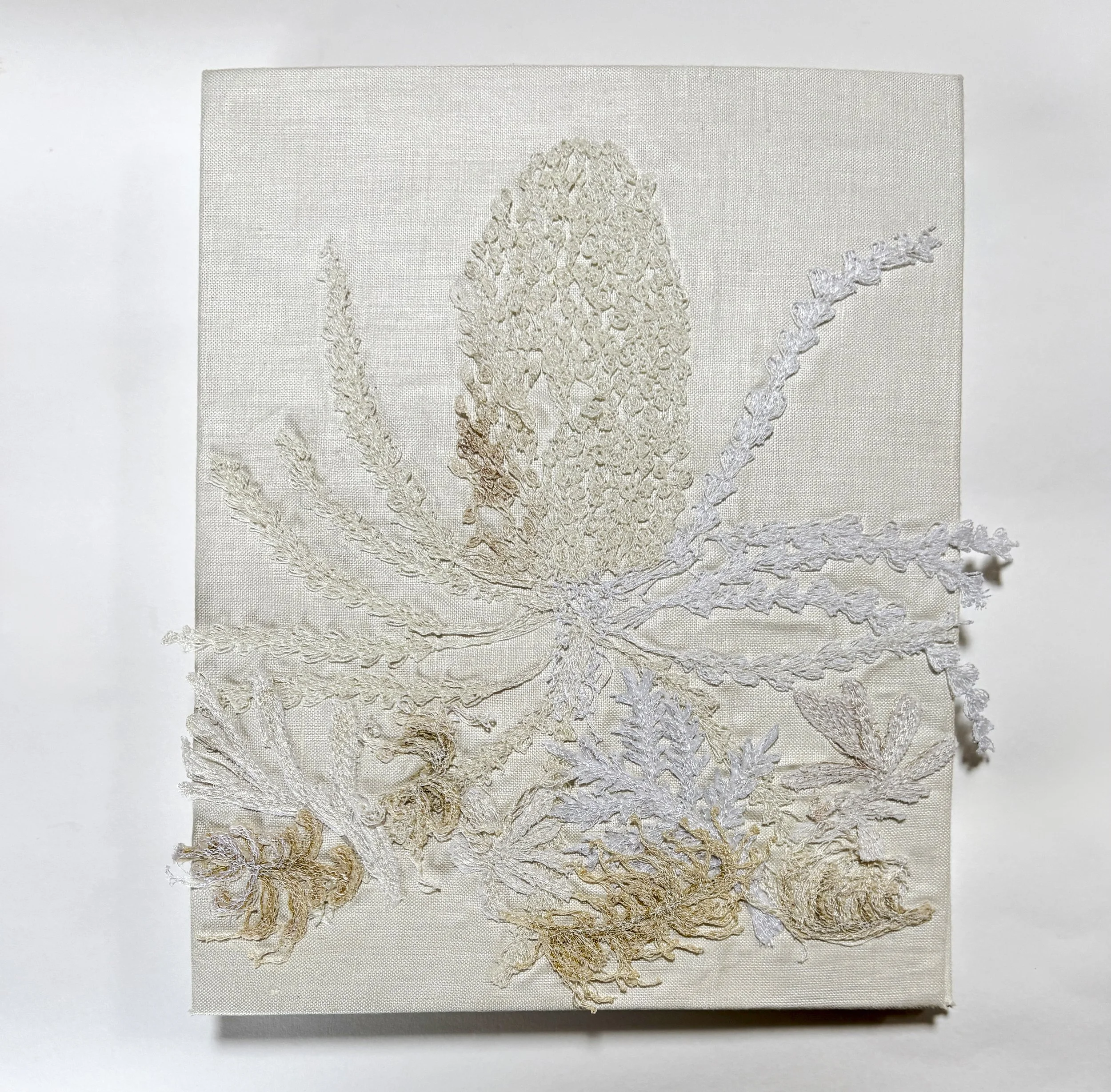 White Banksia book cover.jpg