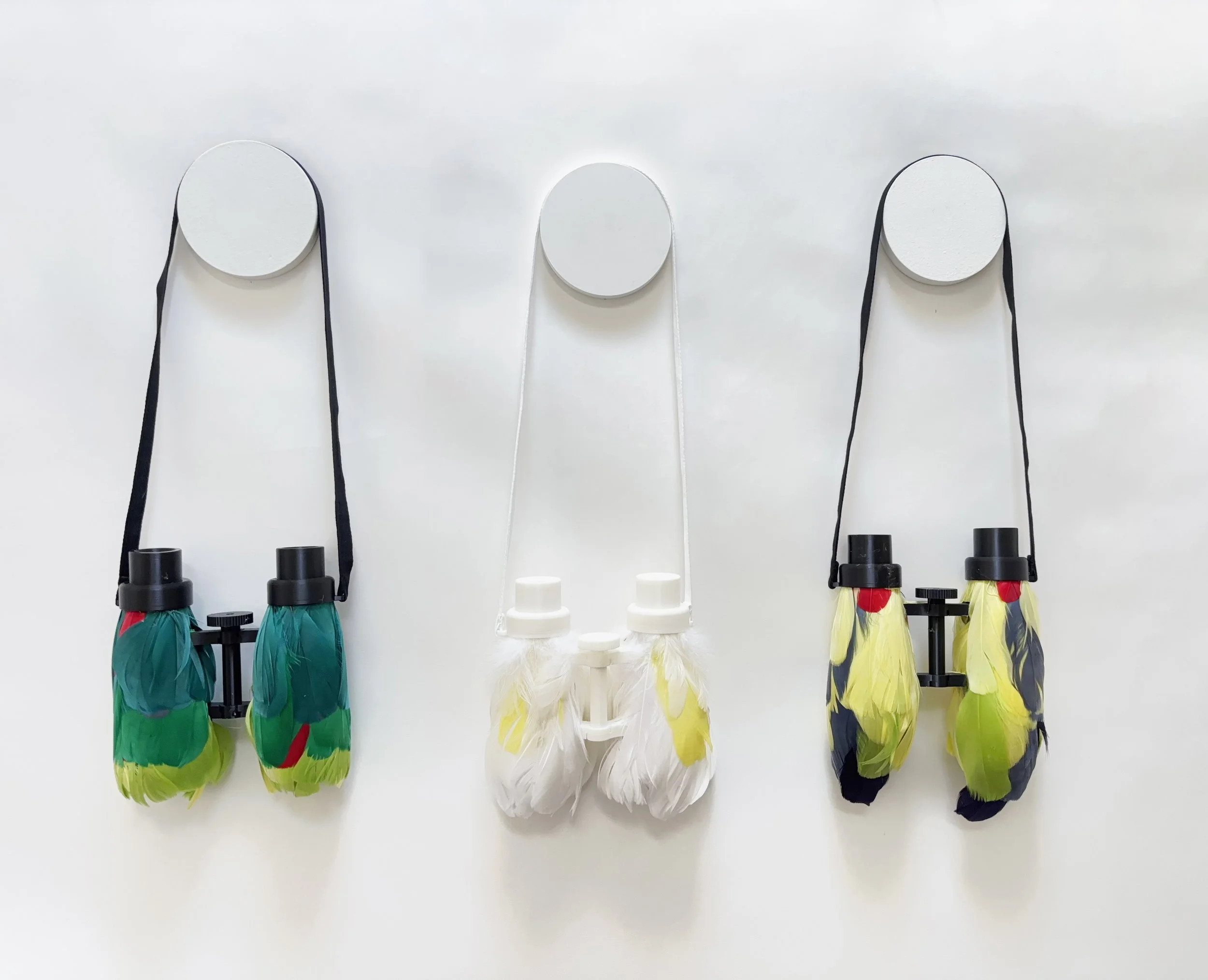 trio parrot binoculars.jpg