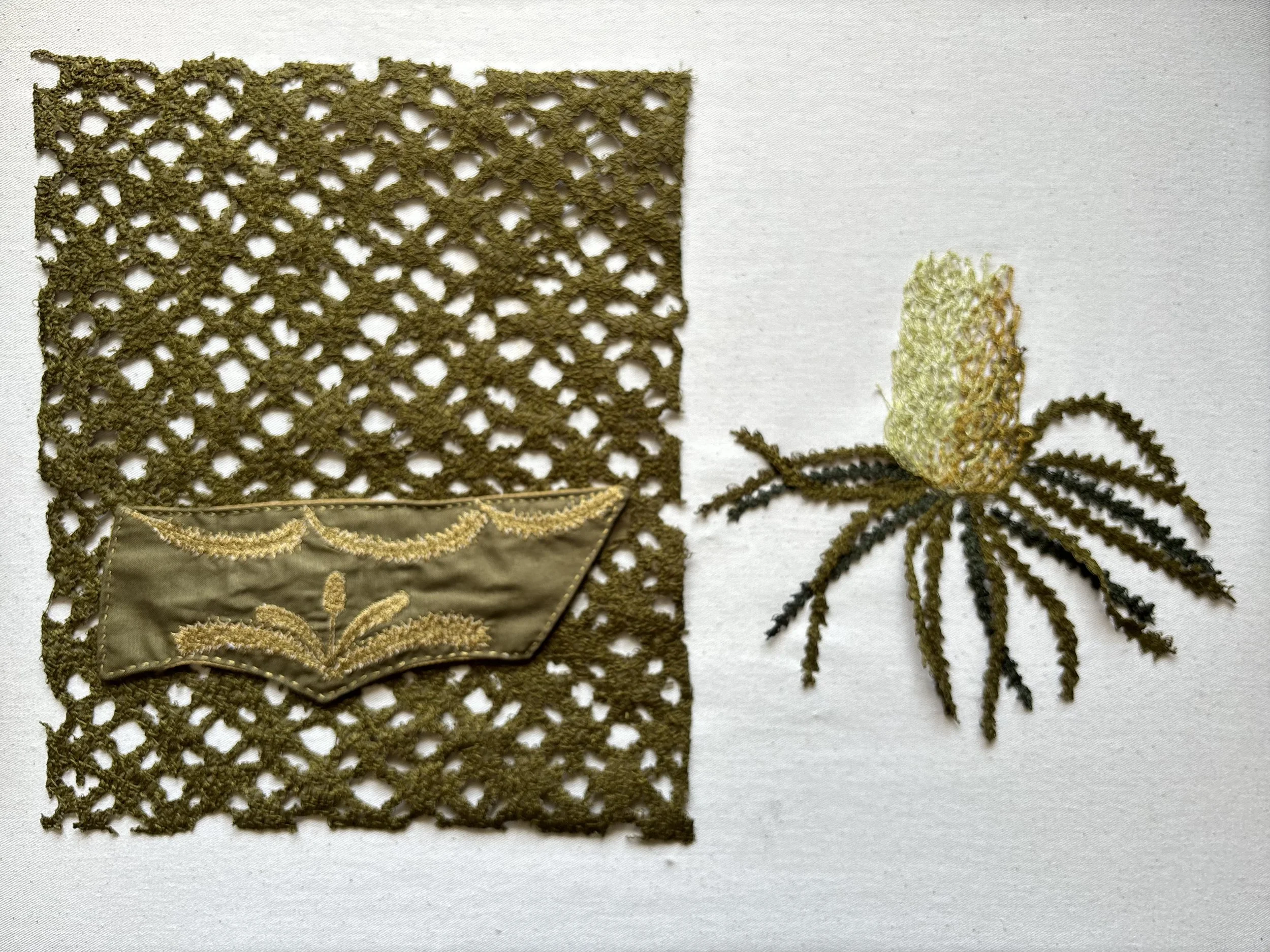 3_Banksia Speciosa sampler.jpeg