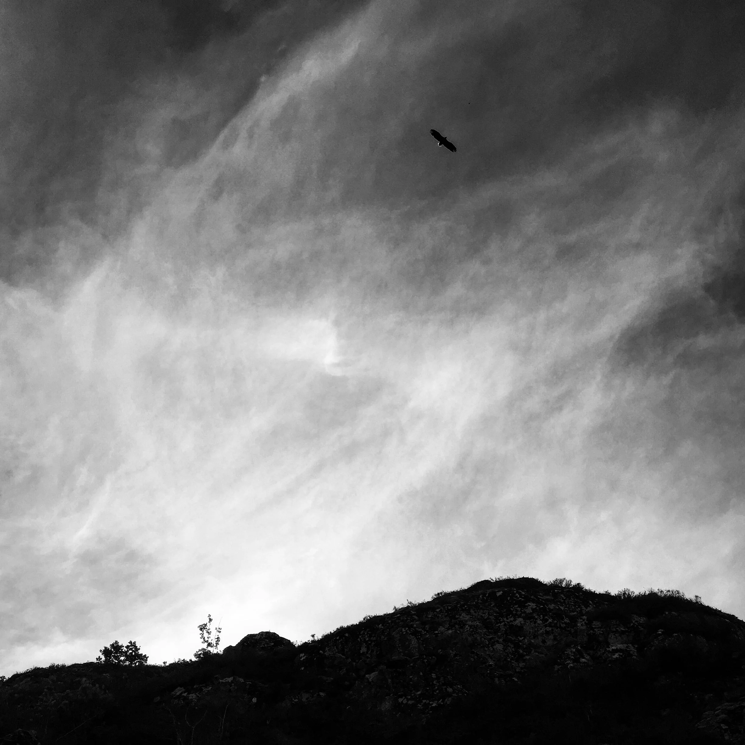 Dette er en test, ja