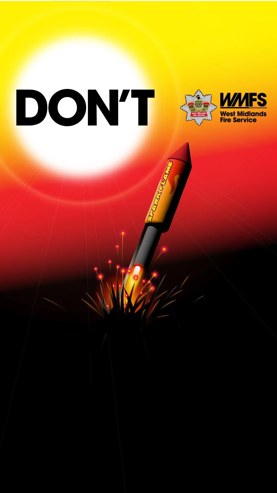 fire work_1080x1920.jpg