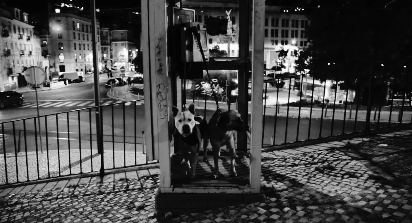 Nominee for Young ADAMI Media Prize PHONE BOOTH Vahagn Khachatryan, Van Sarkissian / Golden Apricot Film Festival / Armenia