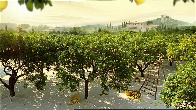 Surf - 'Duvet' - Director: Guy Manwaring