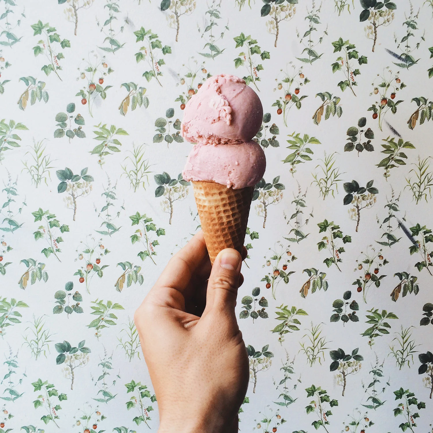 Van Leeuwen Artisan Ice Cream