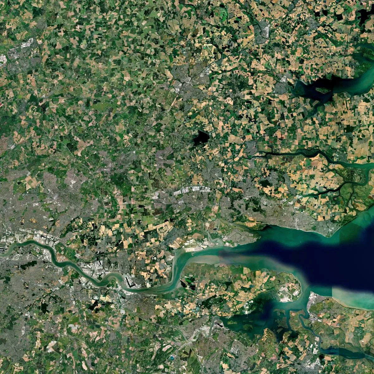 Basildon+LPA.jpg