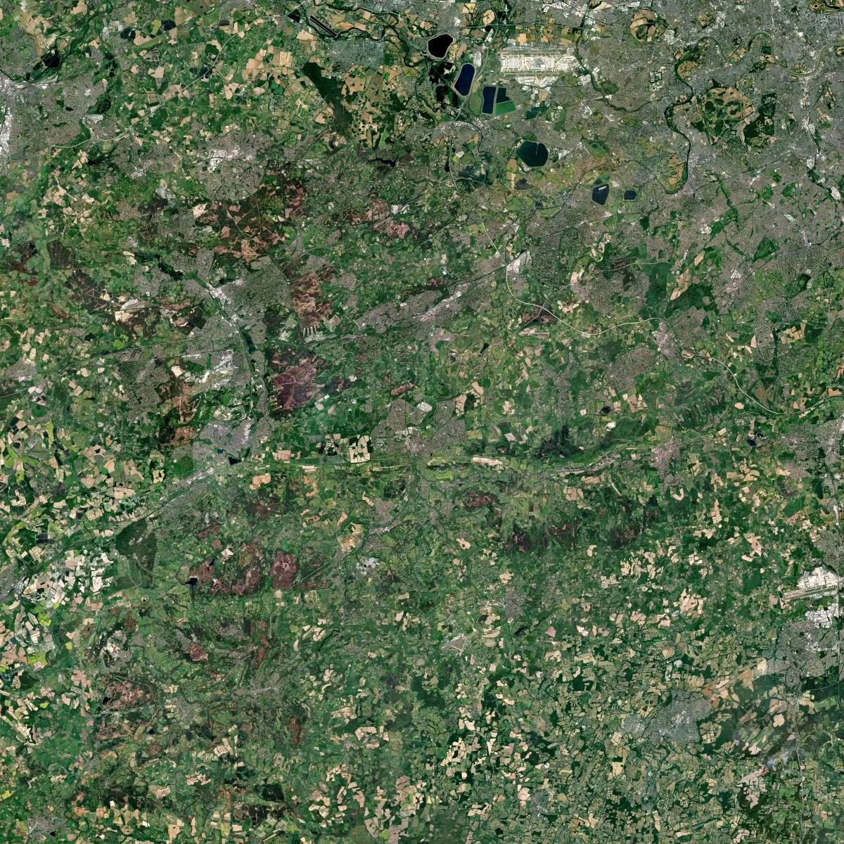 Guildford+LPA.jpg