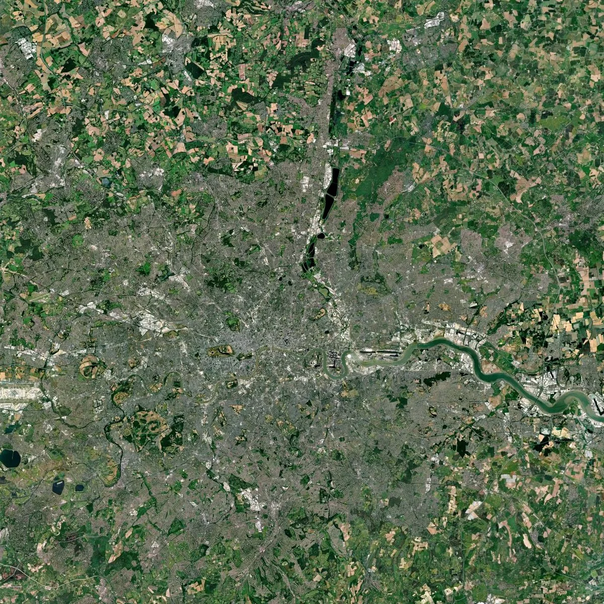 Hackney+LPA.jpg