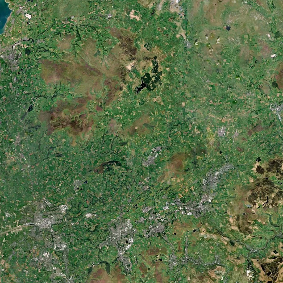 Ribble+Valley+LPA.jpg
