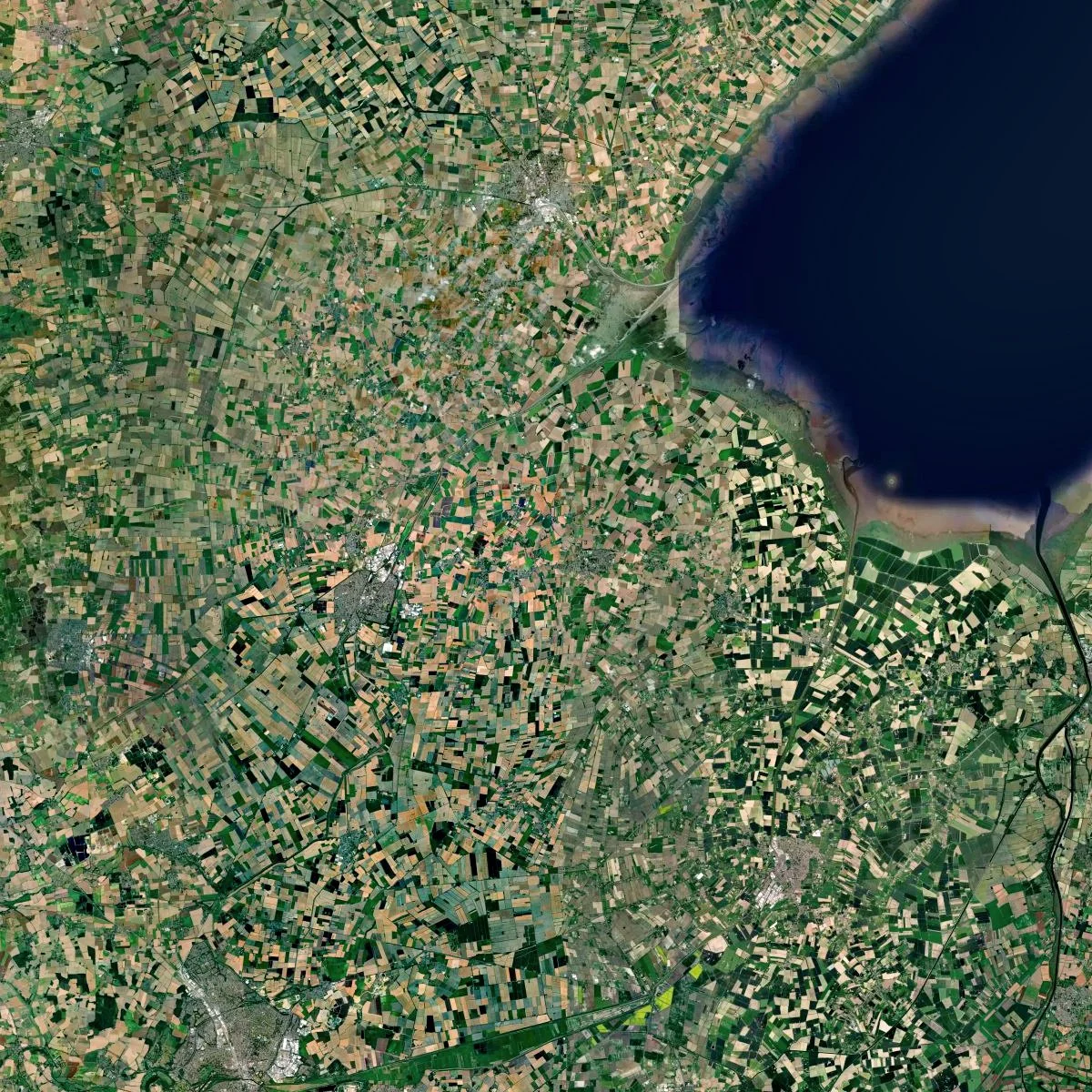 South+Holland+LPA.jpg