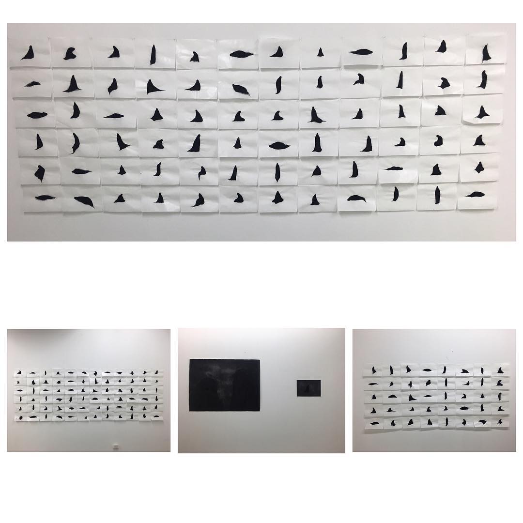 Installation view at the GATEWAY PROJECT SPACES June-October 2016.
