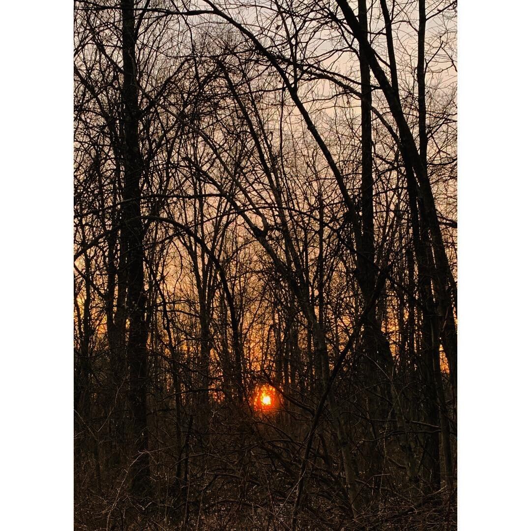 Great Swamp New Jersey 2019