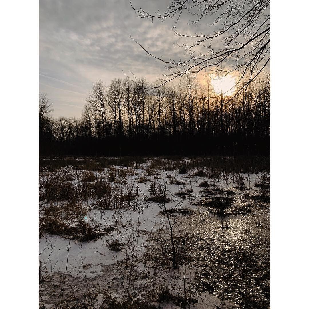 Great Swamp New Jersey 2019