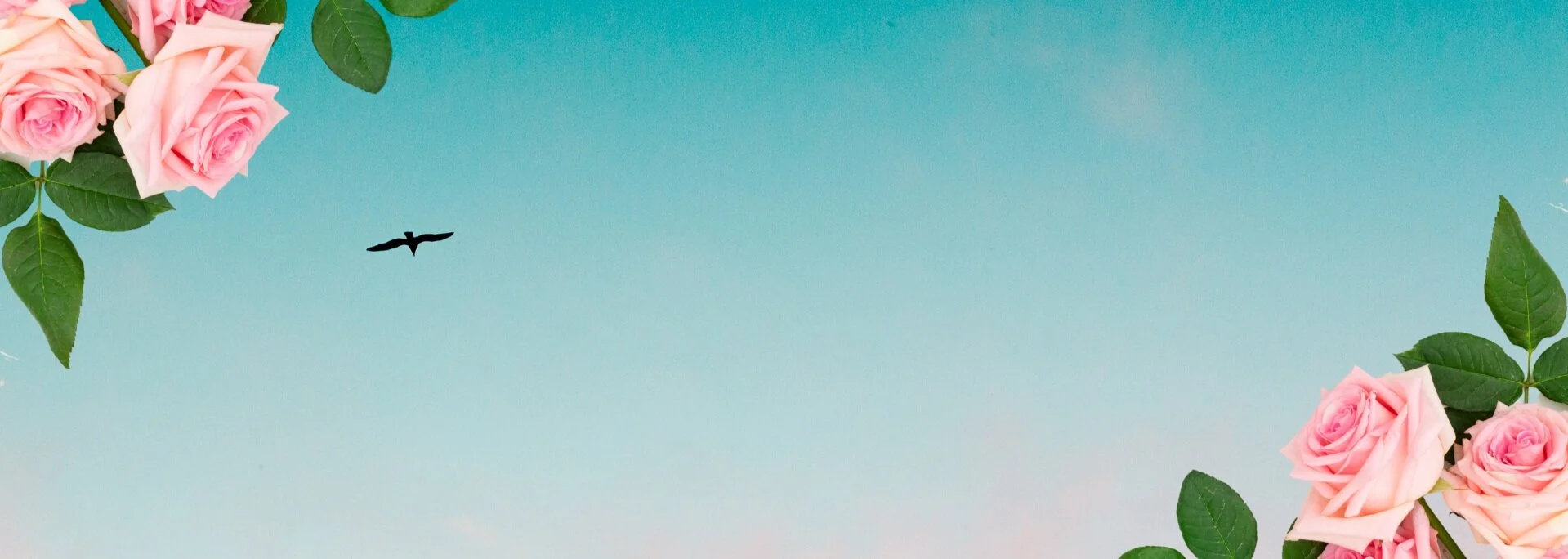 Copy+of+Daily+Energy+Meditation.jpg