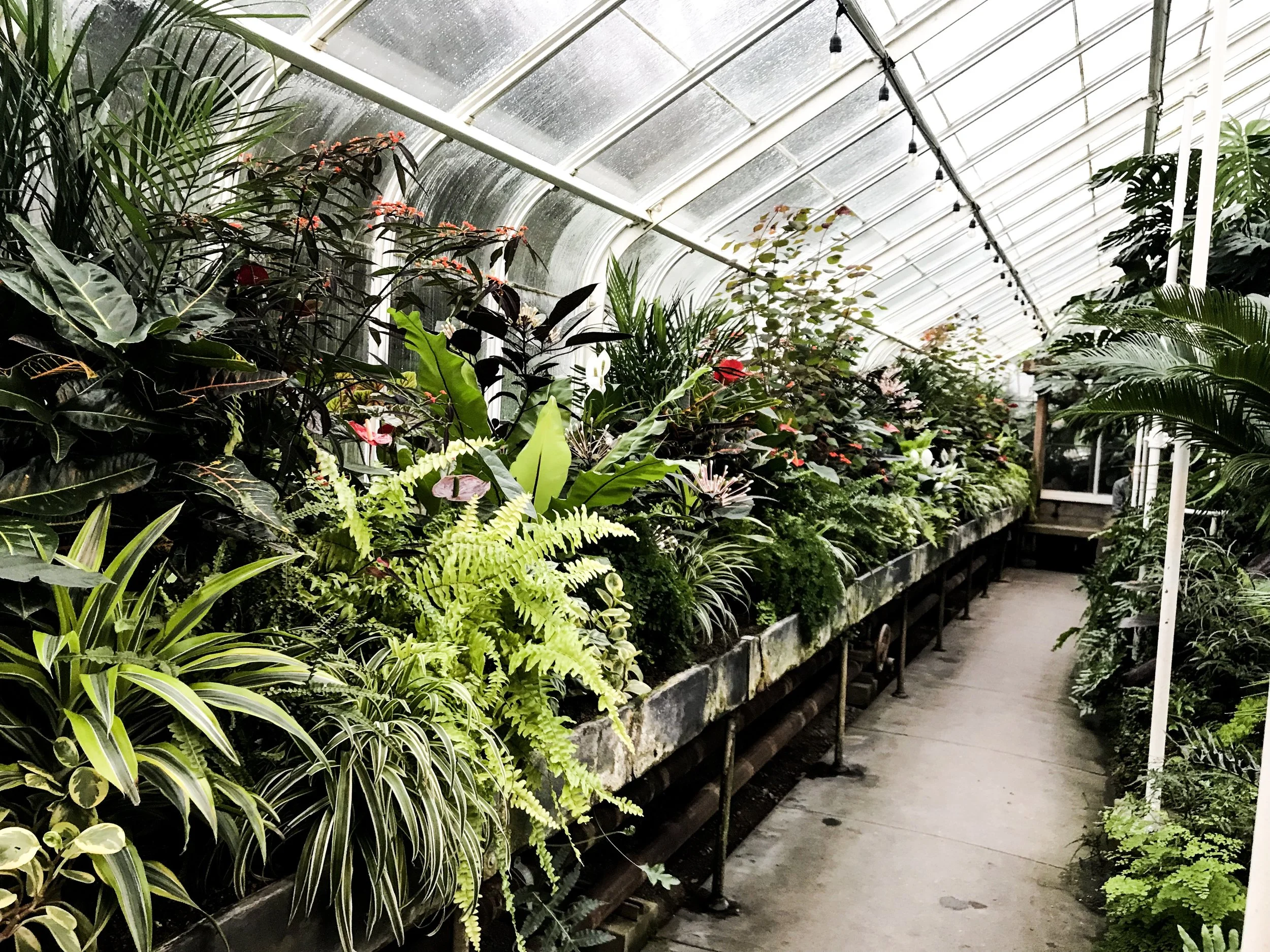 Volunteer Park Conservatory