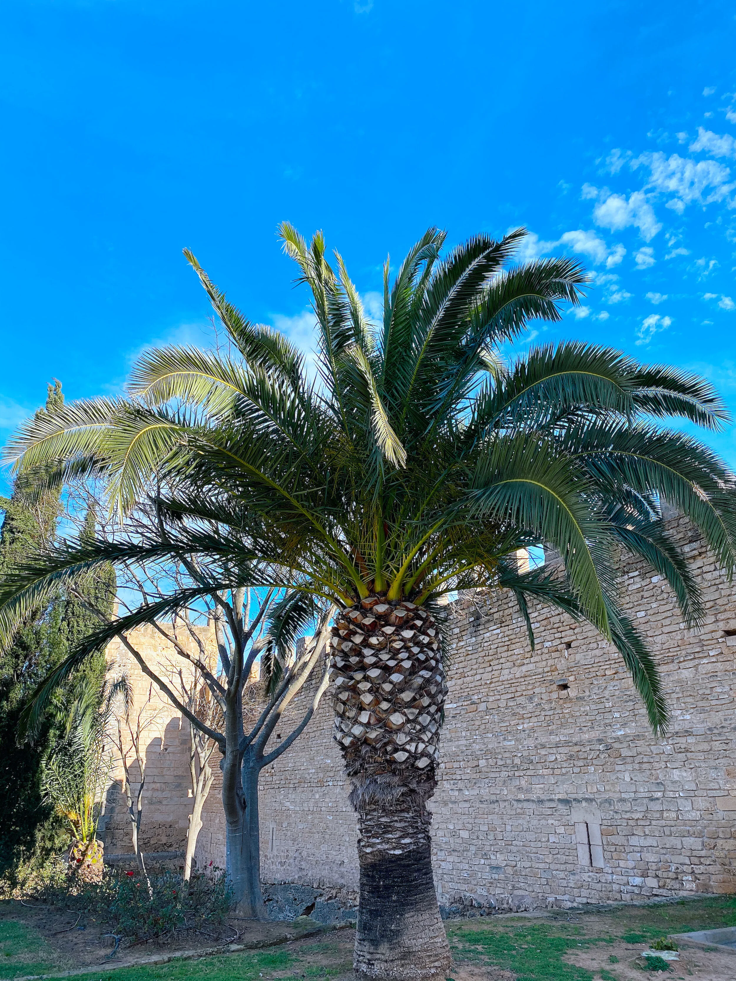 Mallorca