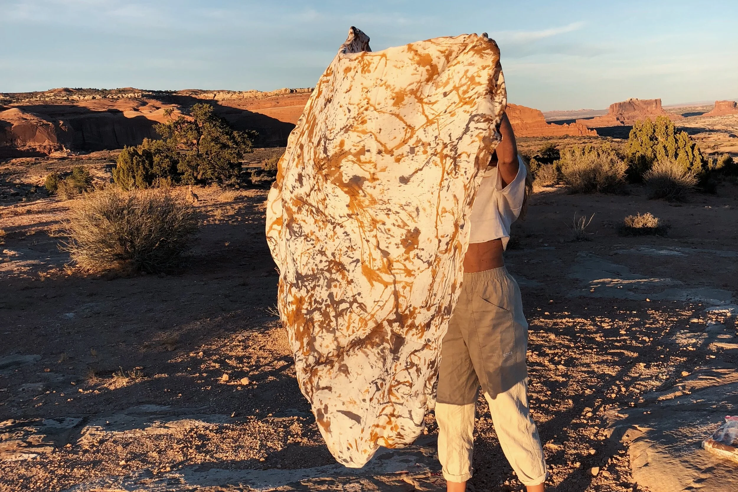 1510E883-EBA4-4CFA-80D4-DE86619919C7