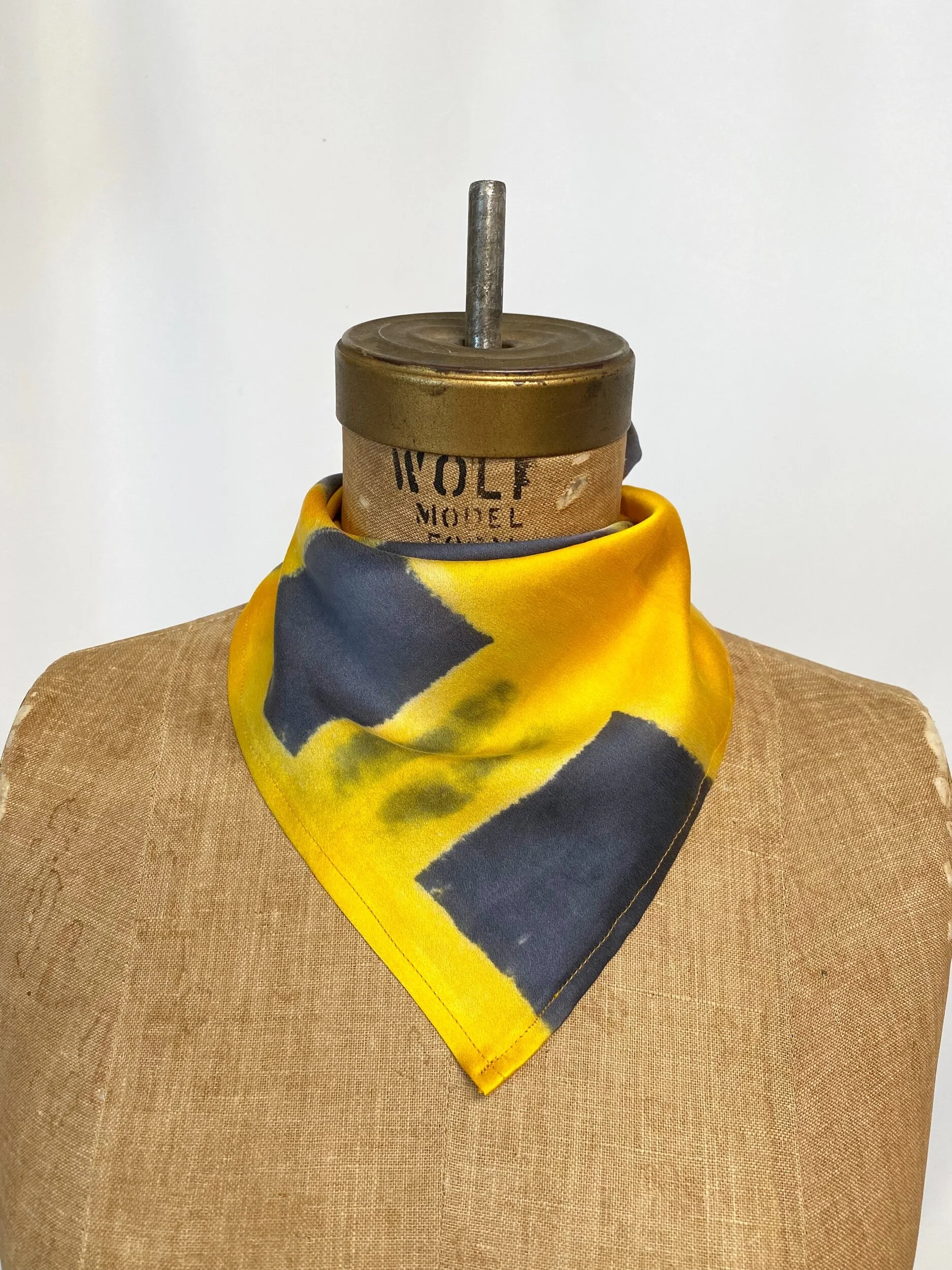 E2EDFA6B-55C1-472F-8C97-6BF77256B556