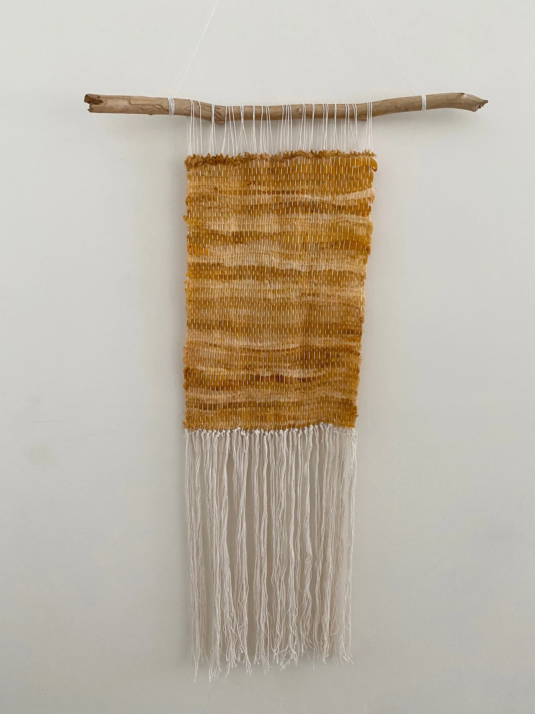 00A207C4-CC8F-4C90-94DB-27A18110B020