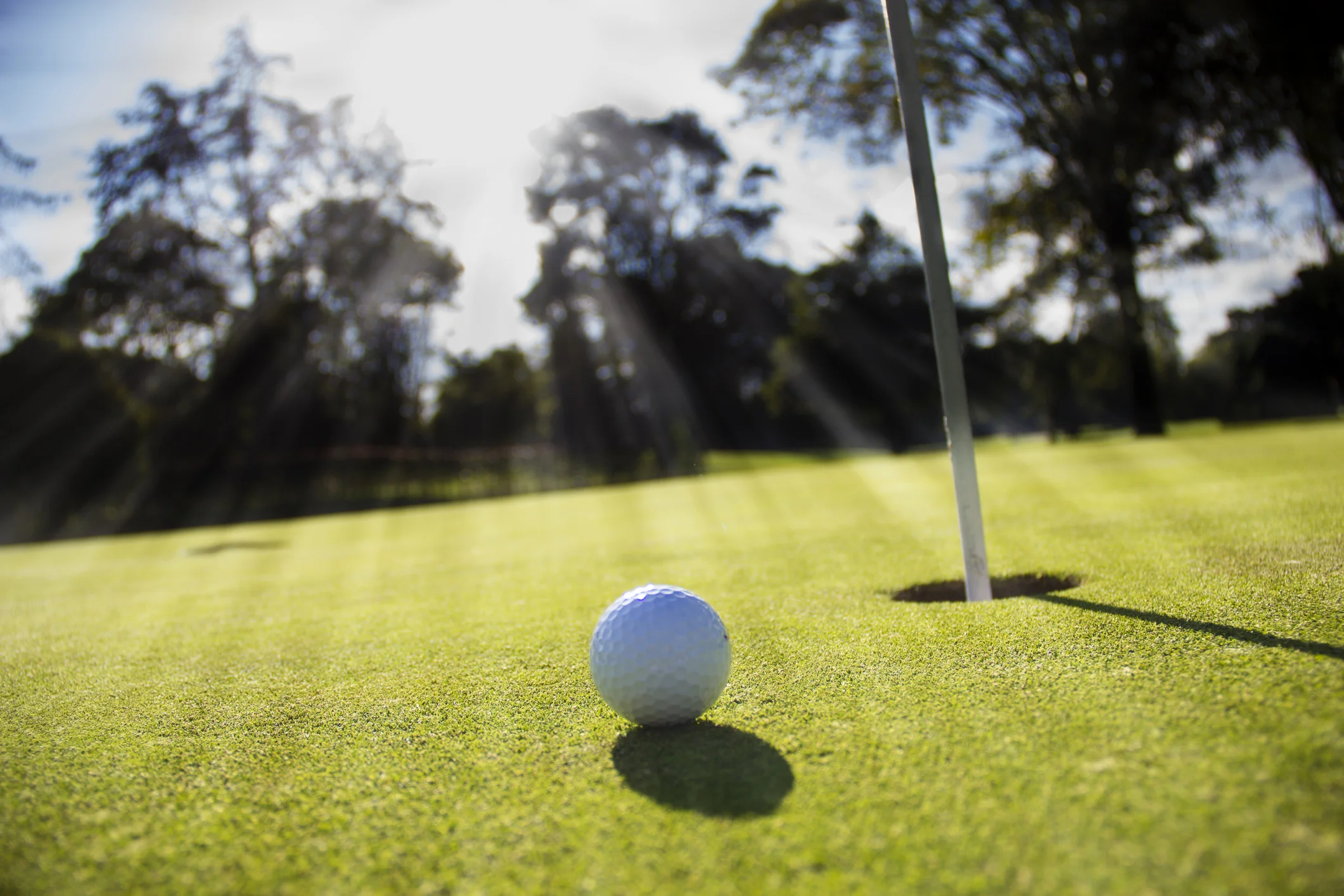 Photo by richiesd/iStock / Getty Images