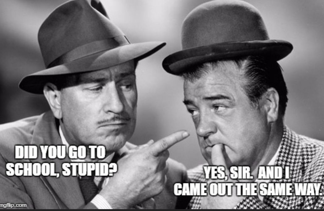 Stupid?.png