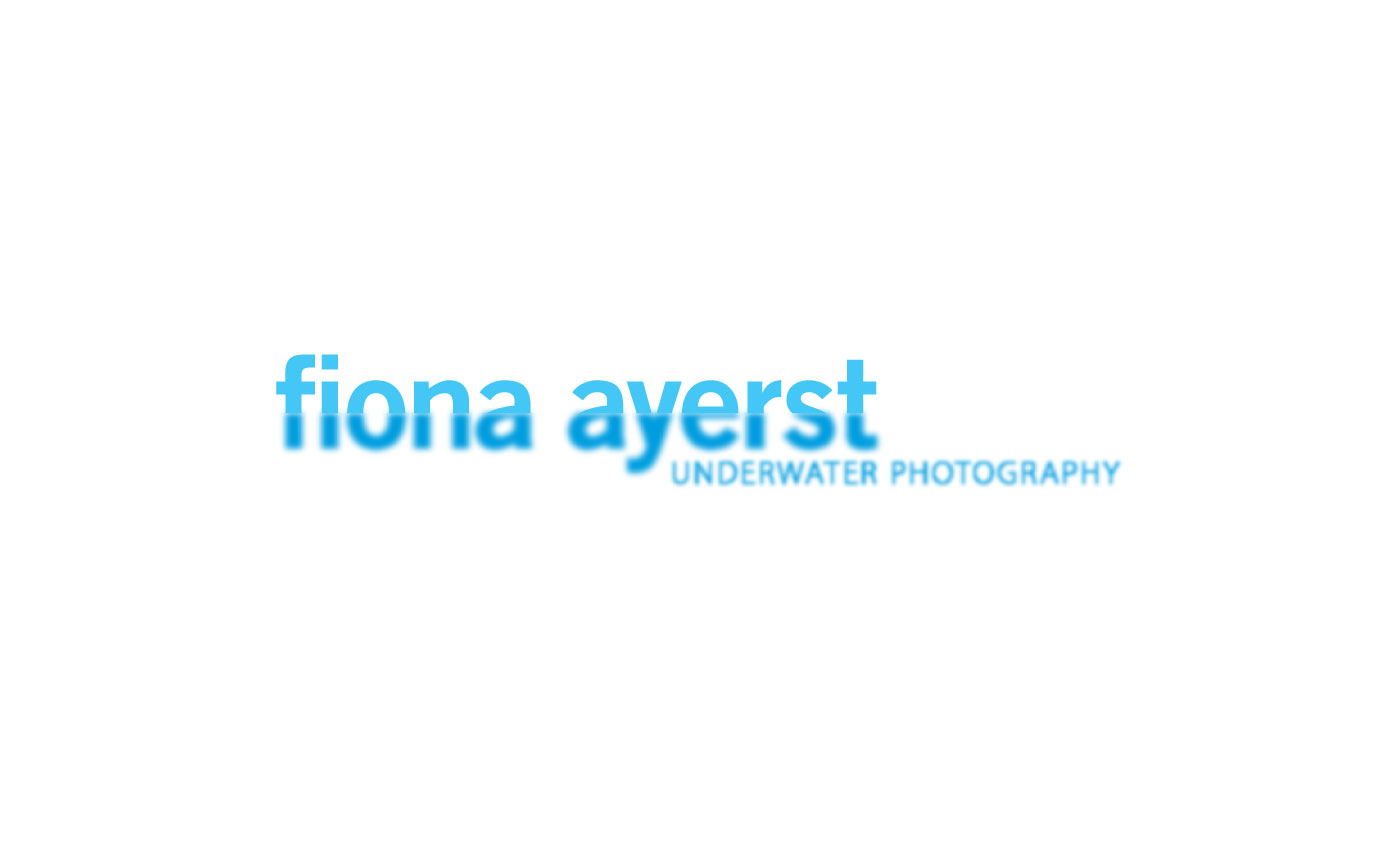 fionaayerst1400x864_clr.jpg