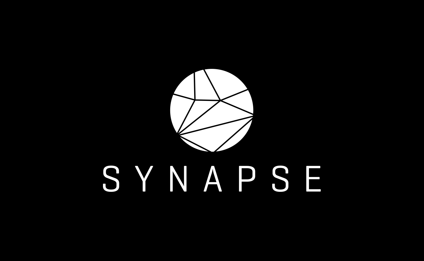 Synapse_BrandIdentity_02.jpg