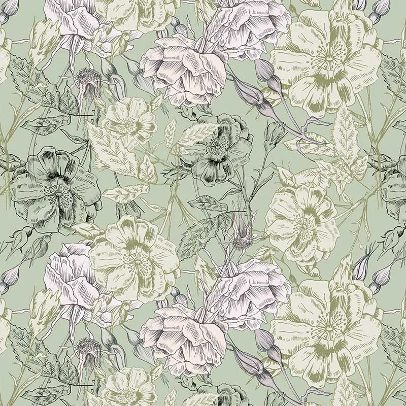 Rosebushes - Sage Mix