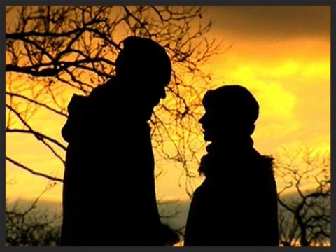 The promo video for Special Cases was mostly assembled from existing documentary footage in order to tell the story of the forbidden love between two genetically designed clones.