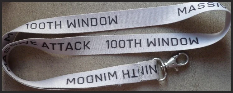 large100thwindowcliponstrap.jpg