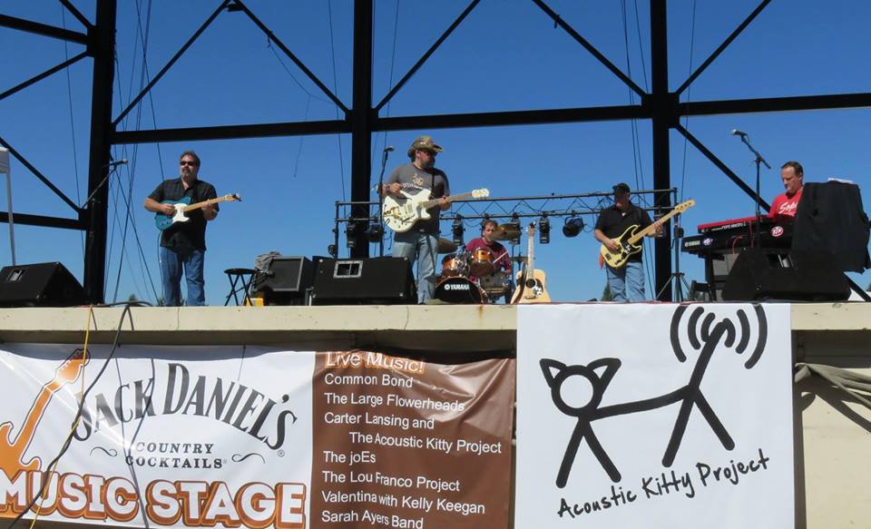 Acoustic Kitty Project