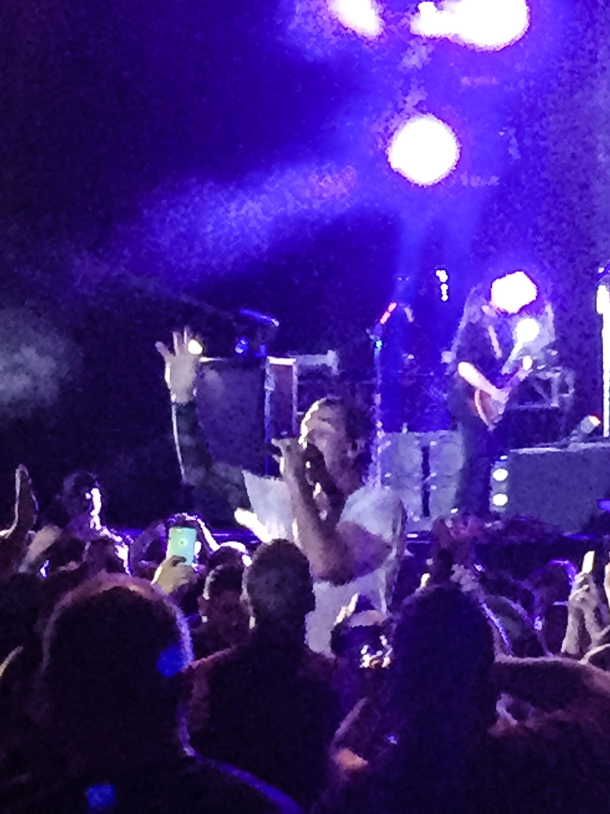 Bush singer Gavin Rossdale wades into the crowd during the band's Musikfest performance. (Stephen Flowers Photo)