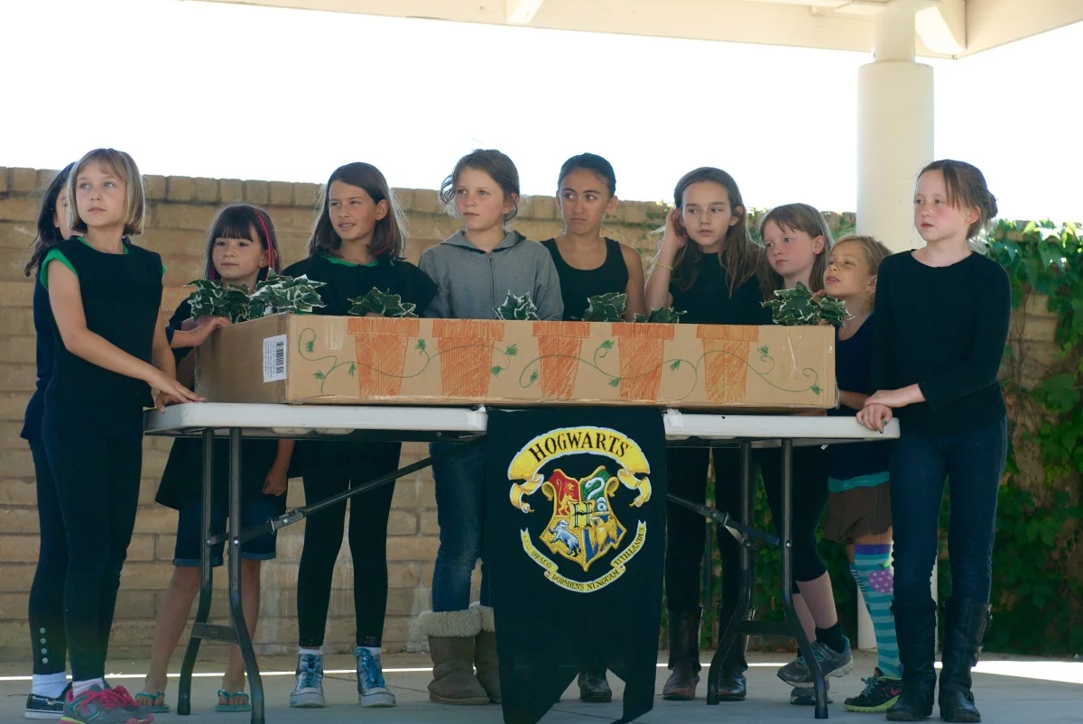 Summer Camp (2014, TIMPACC)