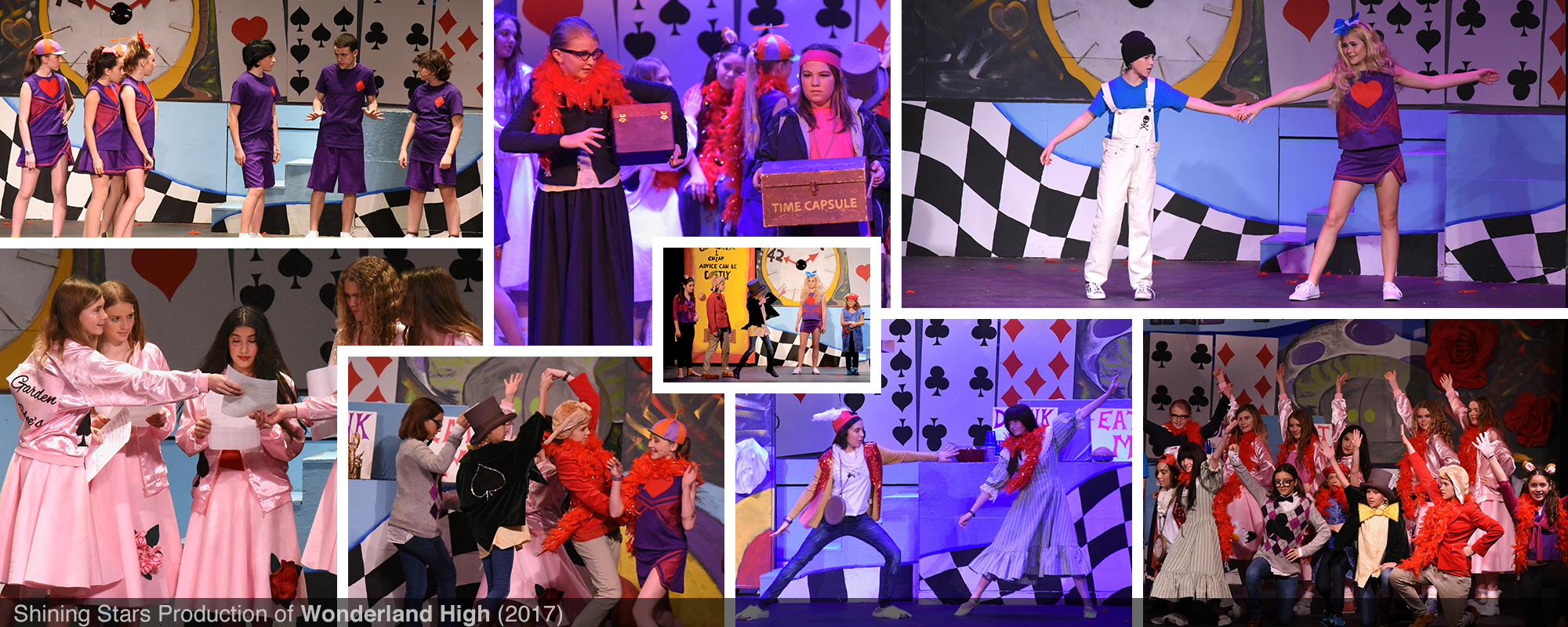 tim_homepage_wonderland_high_pictures.png