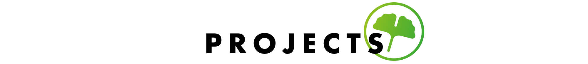 projects-header.png