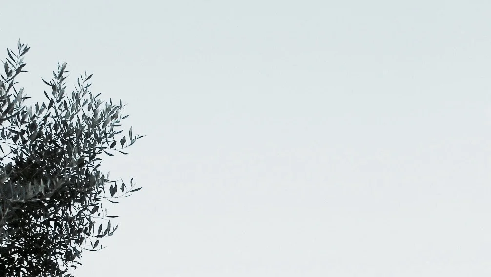 Andre + Gianna Ripa Husband and Wife Team Experience our work. Retreat, Individual, Sessions + Intensives.