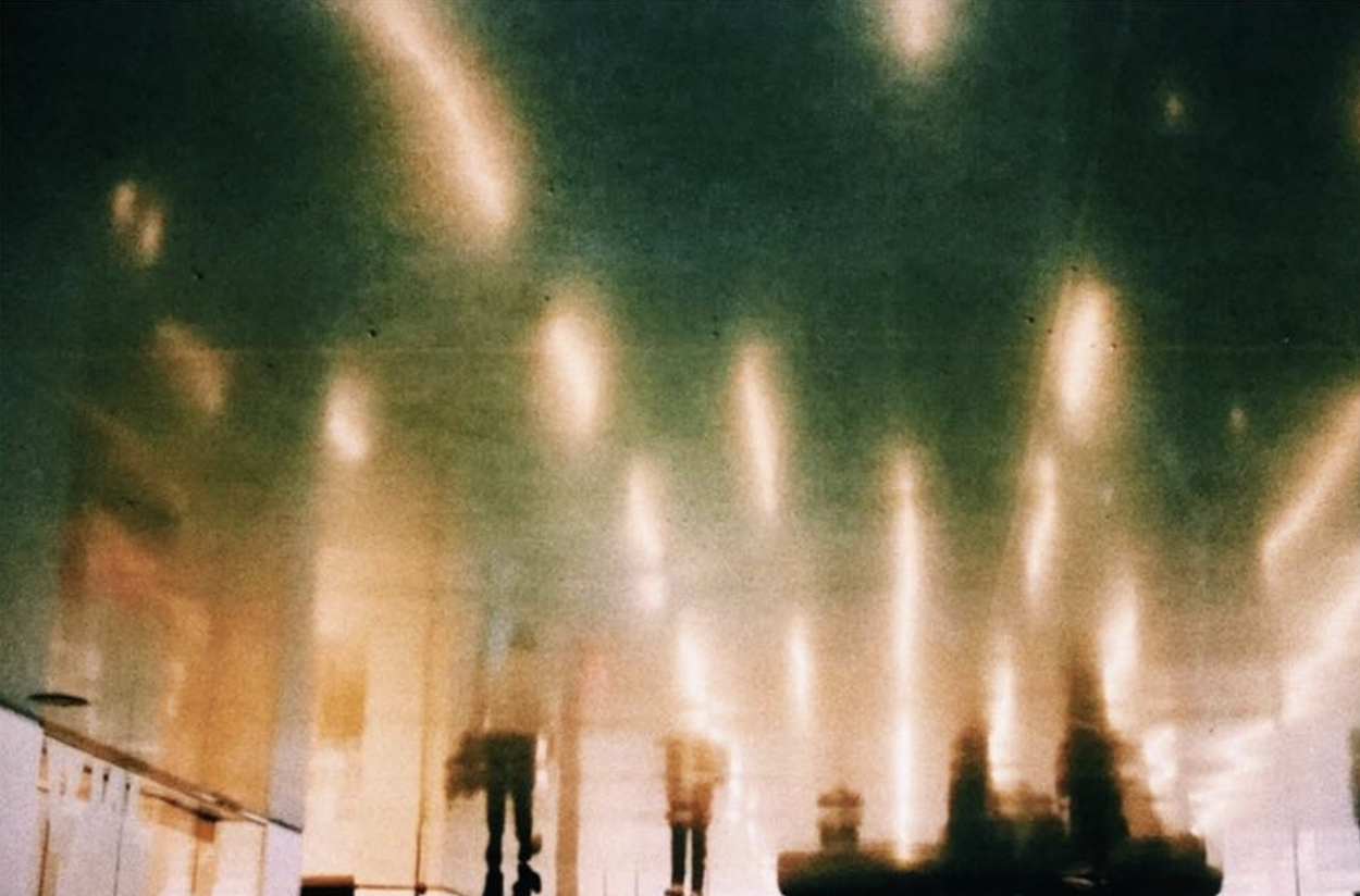 Meet the Contributors of the 2019 Issue 