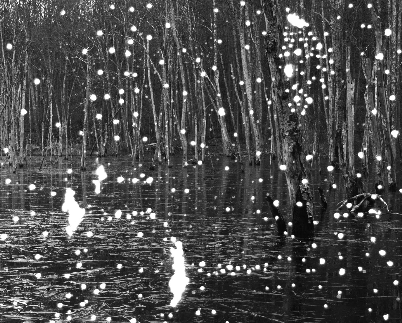 Welcome to the Stillwater Blog!