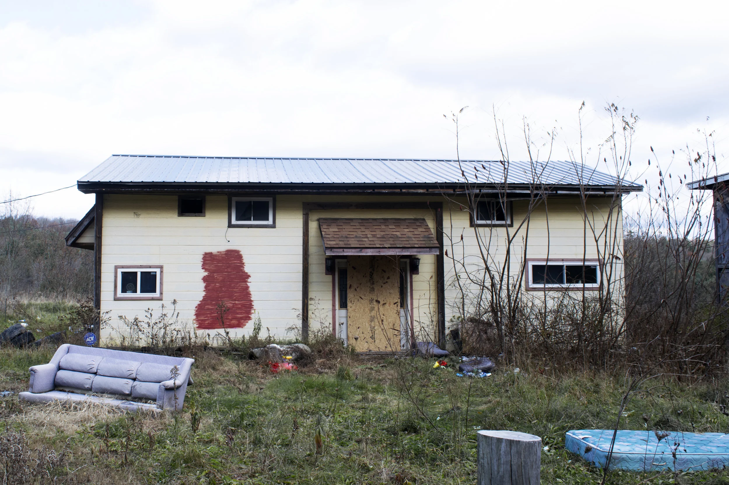 Overgrown by Nicole Brokaw (‘21)