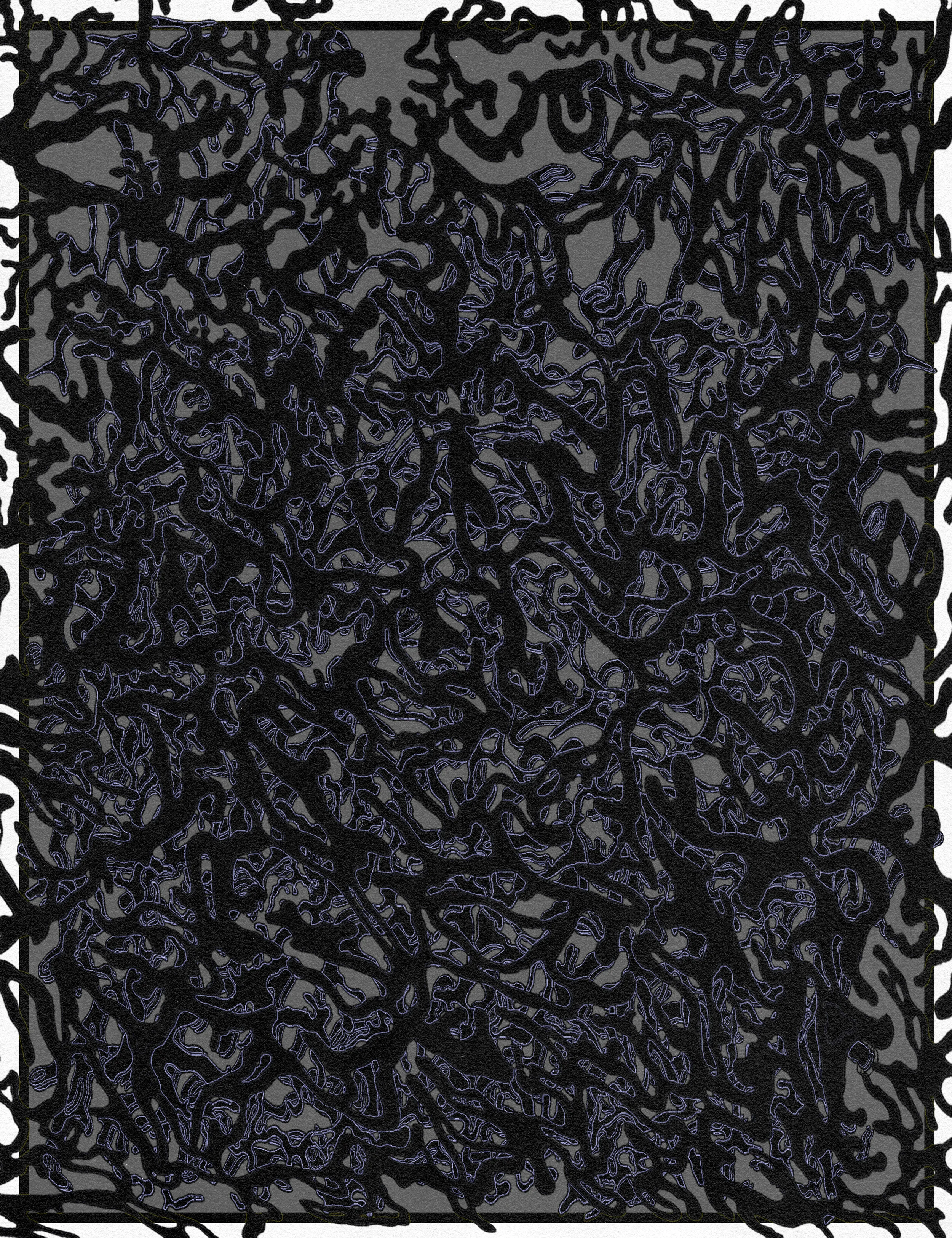 The Persevering Evergreen Tree