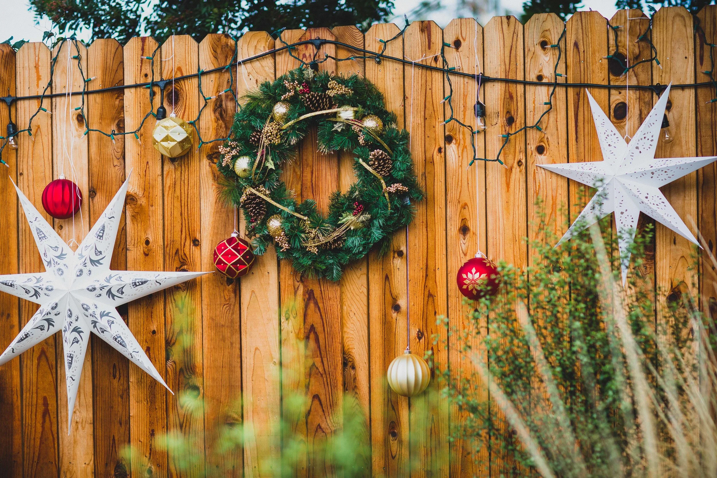 You can choose this Christmas themed background if you're looking for festive.
