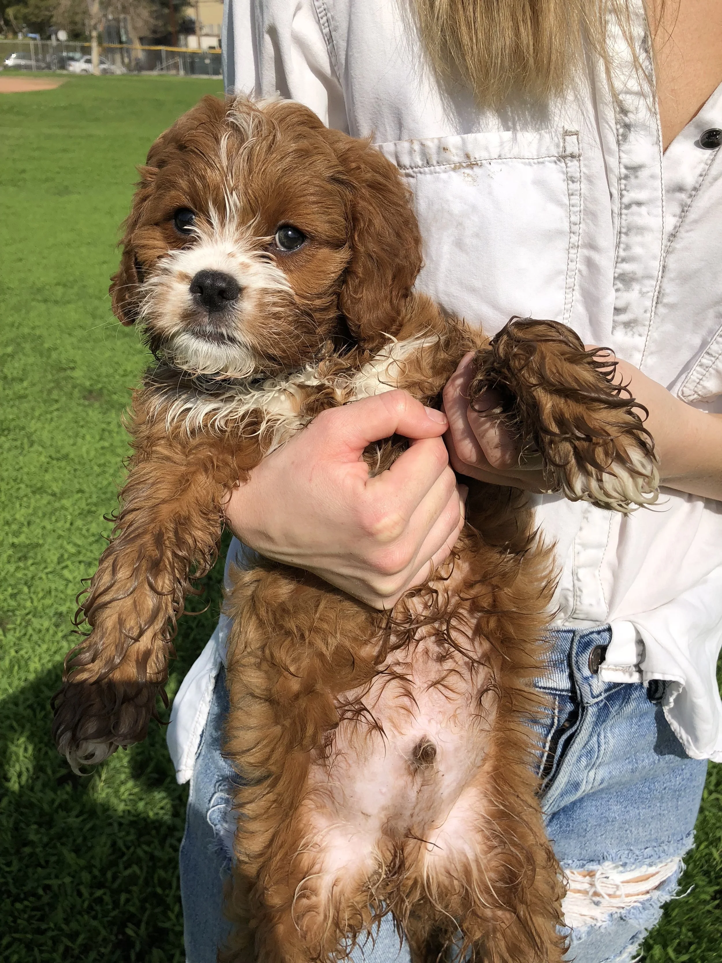 After a day of running around in the mud