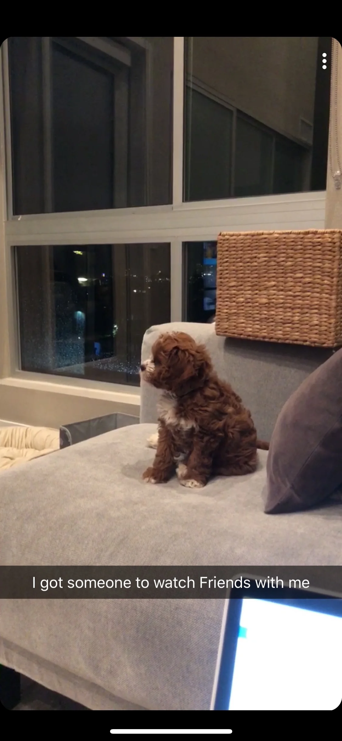 He loves to watch TV with me and it is actually more entertaining to watch him watching TV than watching TV itself. He sits like a little stuffed bear haha