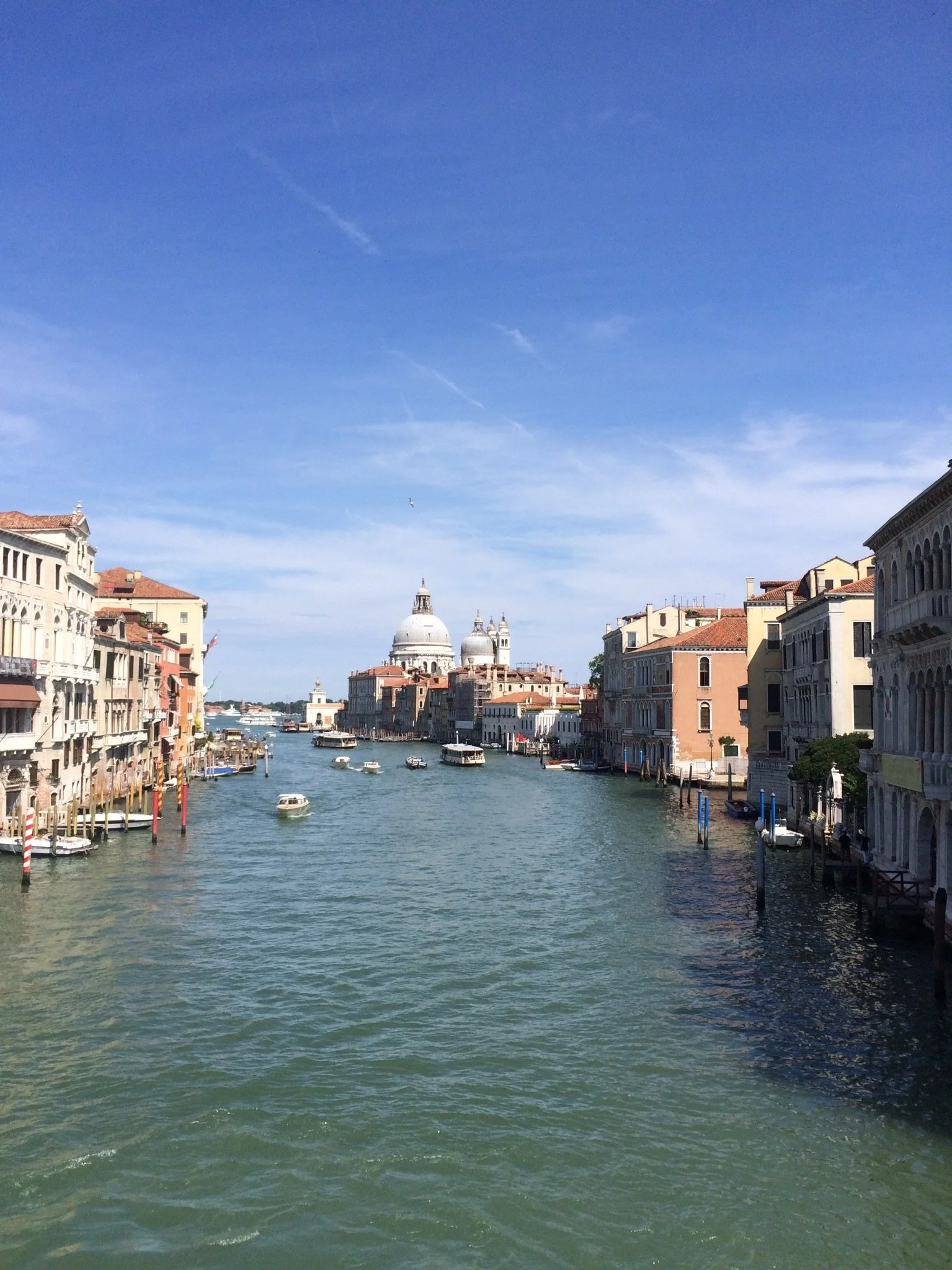 The Torments of Venice