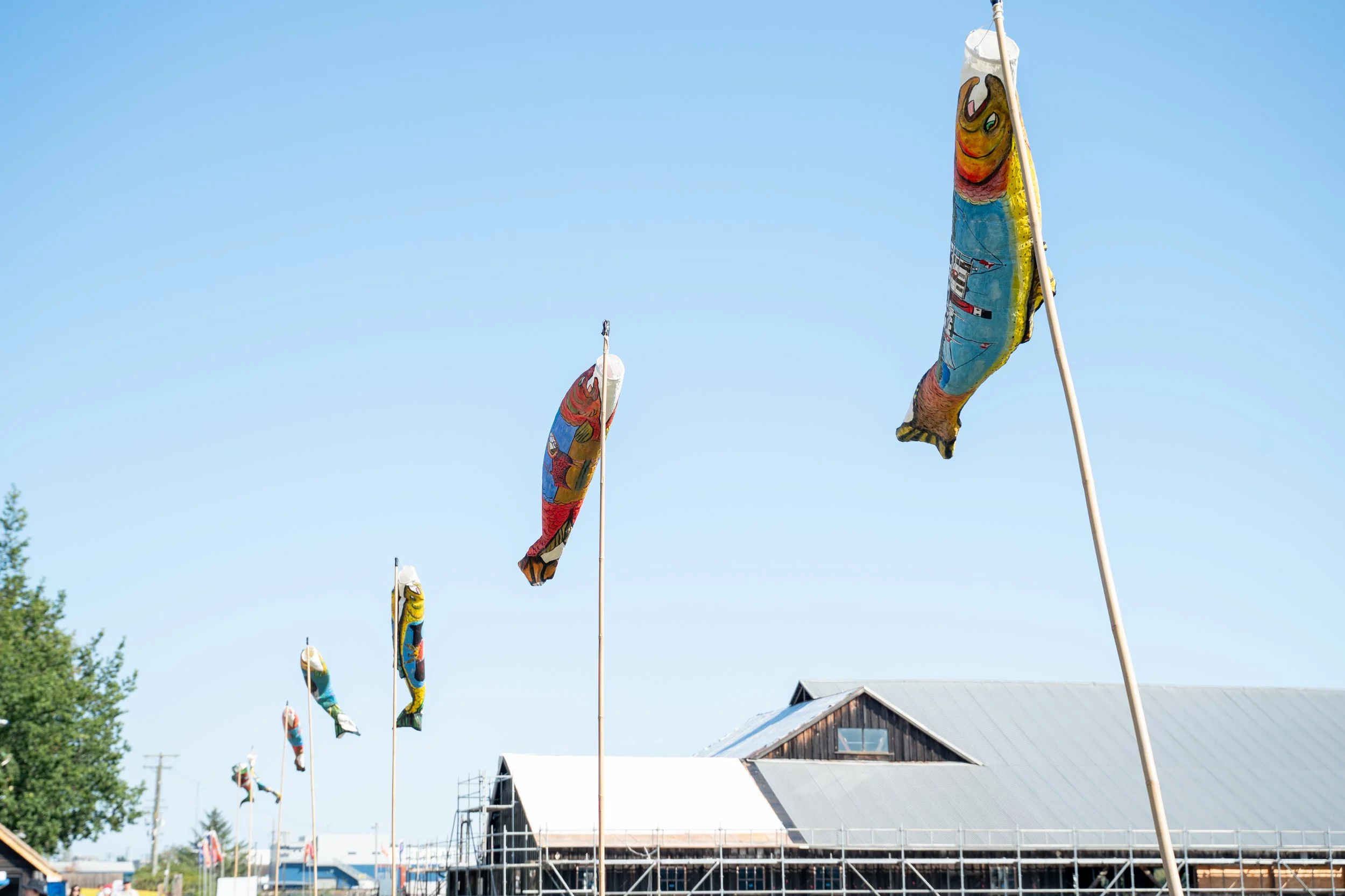 Colorful fishing flags flying in the breeze in front of a barn with a metal roof on a clear day.