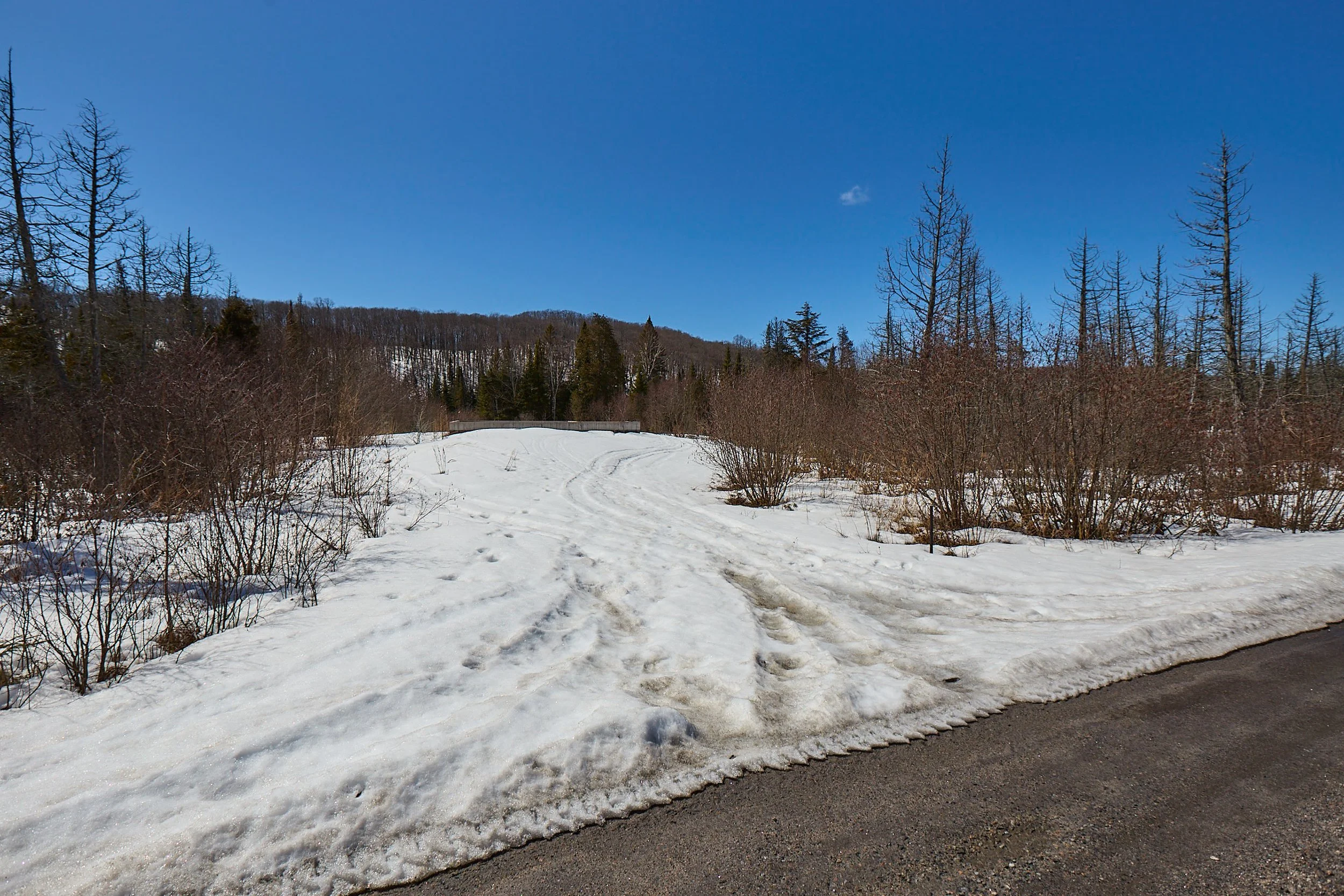 775 Spring Hill Road, Ryerson 229,000 — Muskoka Real Estate North